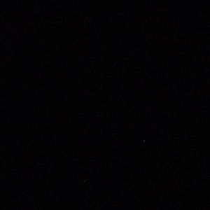 Meet your Posher, Jerry